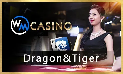 Live Dealer Casino